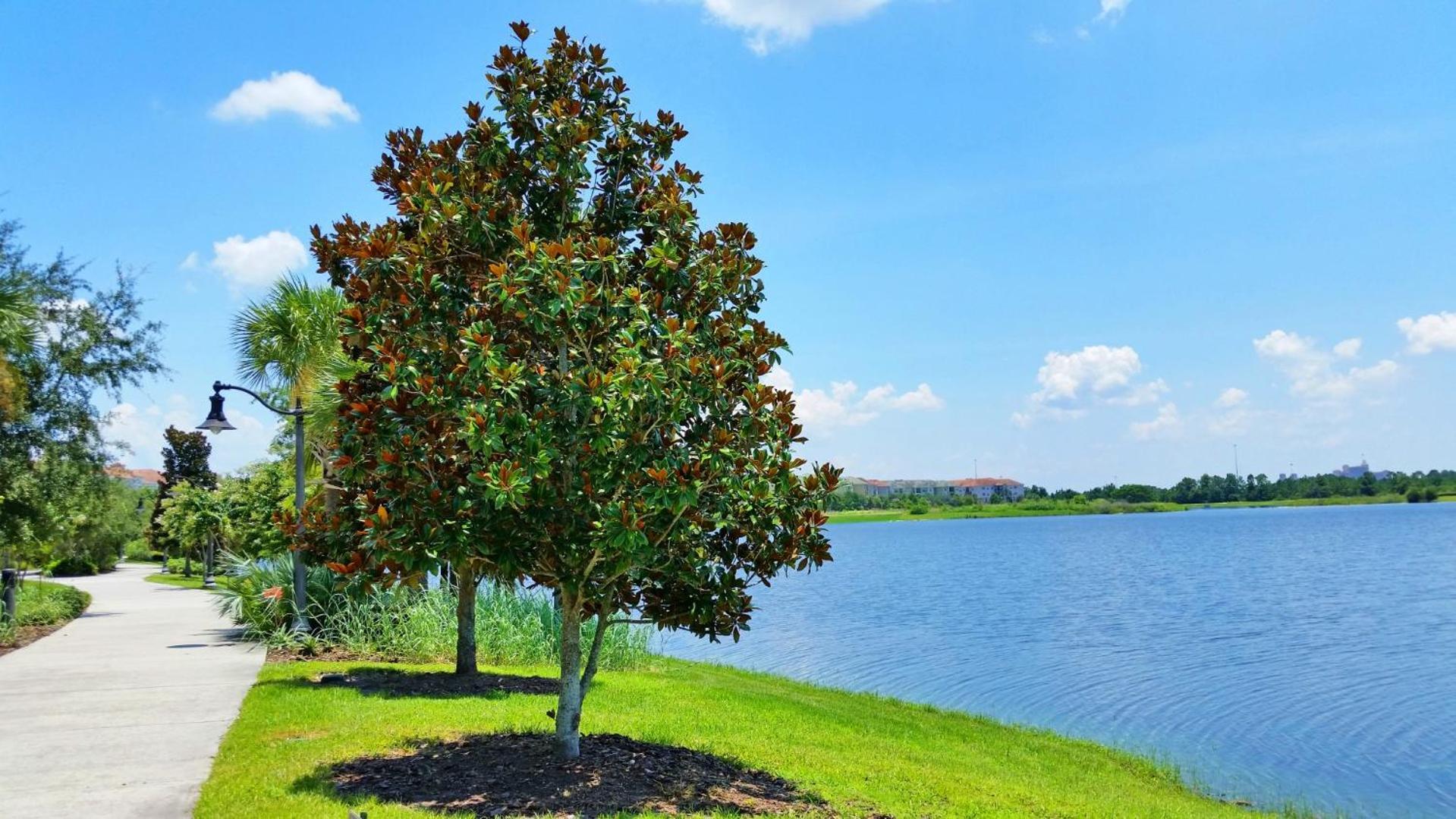 Resort Townhome: Perfect Orlando Vacation Spot Экстерьер фото